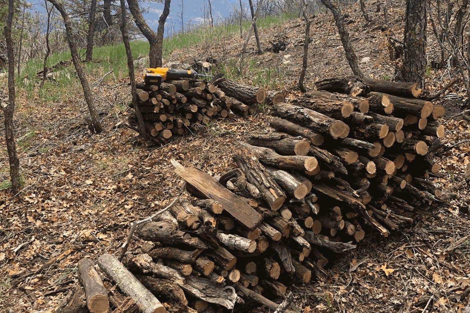 Fire Mitigation