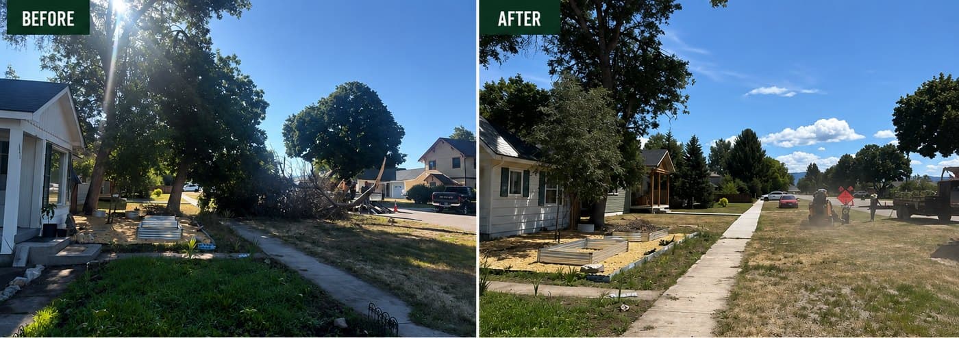Before and after: Emergency Tree Removal in Stevensville, MT