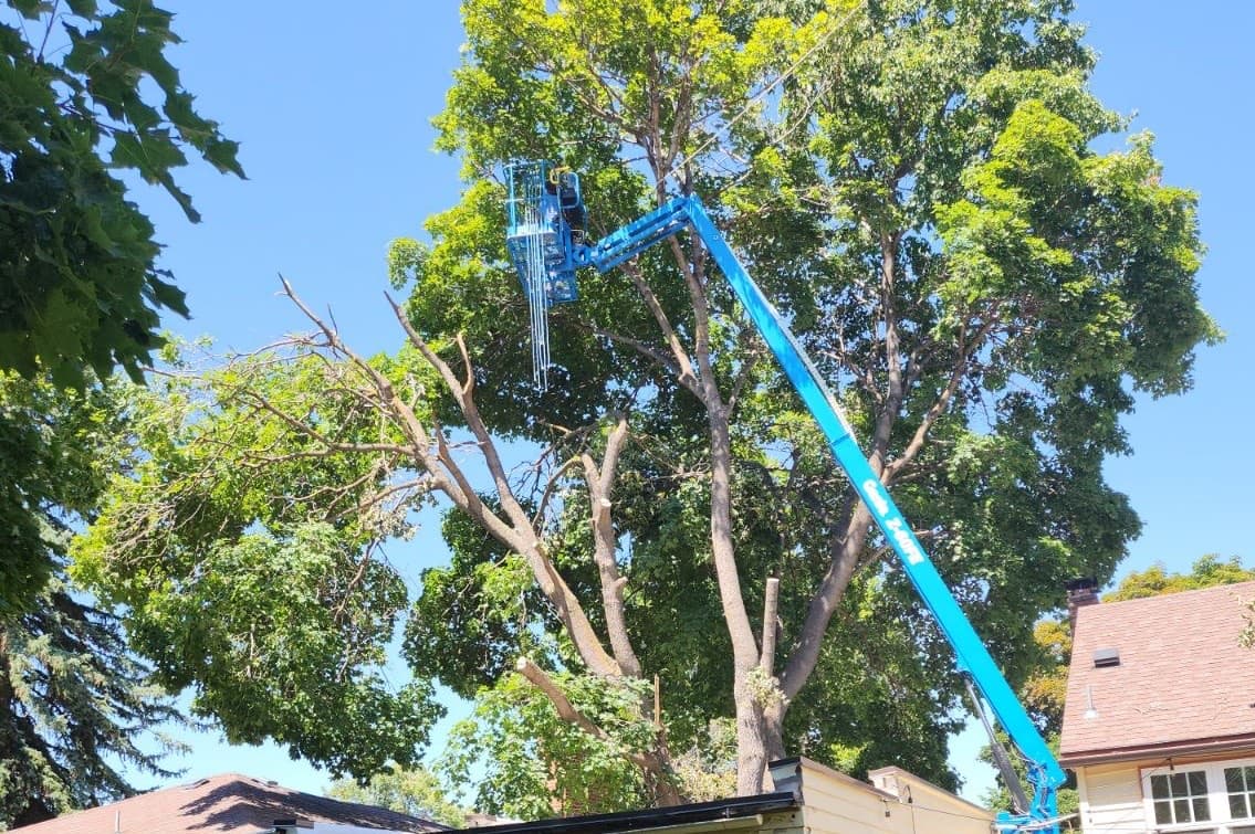 HJ Property Care crew removing a large tree with a lift in Montana